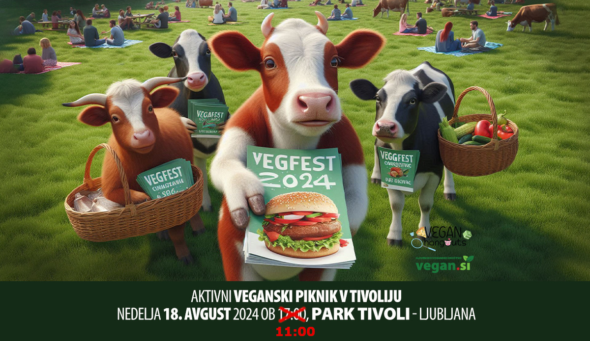 Vegan Hangouts - Aktivni veganski piknik v Tivoliju 7