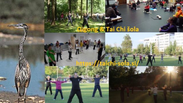 TOL-qigong-tai-chi-sola-Tolmun[1]