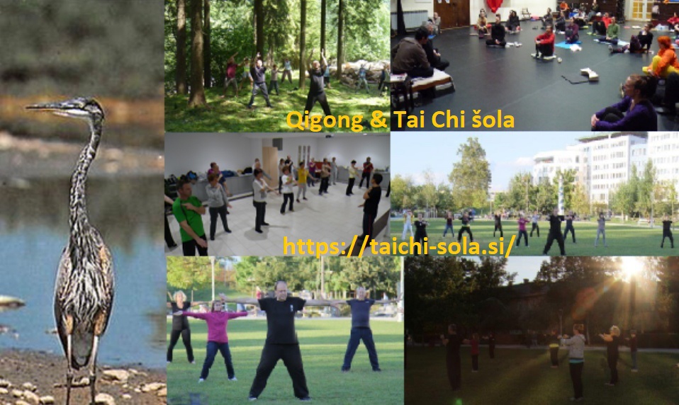 TOL-qigong-tai-chi-sola-Tolmun[1]