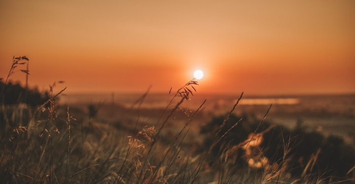 Novi pogledi na anksioznost 1 foto pixabay.com