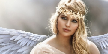 angel 8
