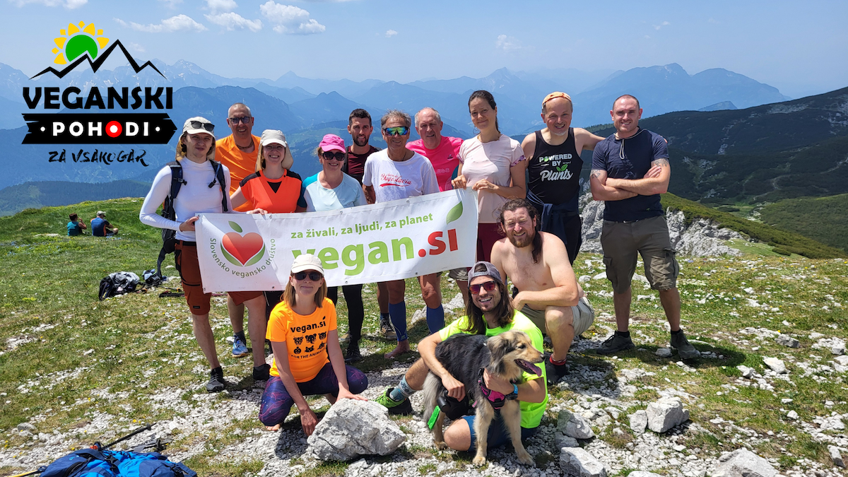 60. Veganski Pohod za Vsakogar - Stol (2236 m)