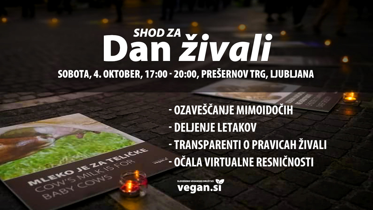 Shod za Svetovni dan živali 2025
