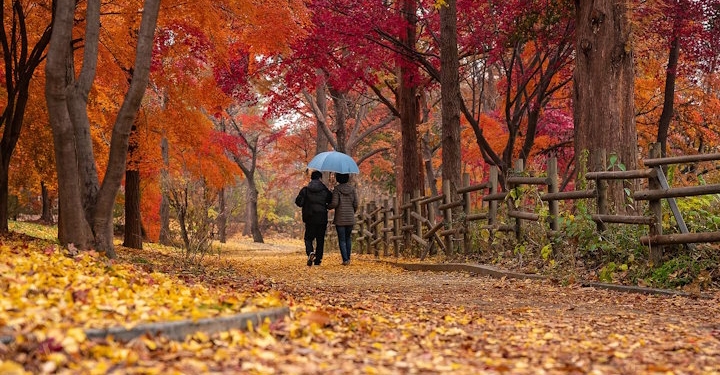 Za osebno rast so potrebni odnosi 1 odnosi