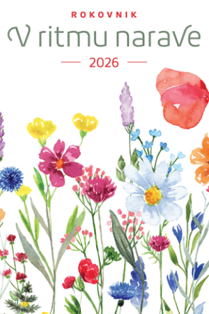 Rokovnik 2026: V ritmu narave - Travniške cvetlice