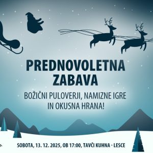 Vegan Hangouts: Prednovoletna zabava