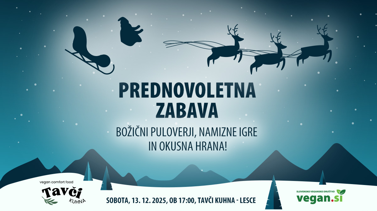 Vegan Hangouts: Prednovoletna zabava
