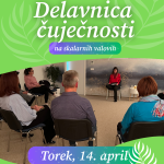 DELAVNICA ČUJEČNOSTI