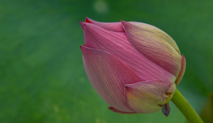 Duhovnost.eu – Ezoterika