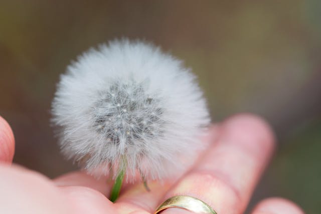 Zahvale vesolju 1 Default Avatar