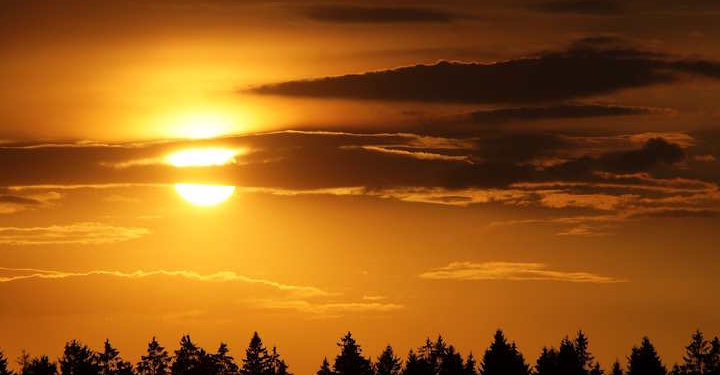 Vitamin D ni le vitamin – v telesu deluje kot PROHORMON 1 vitamind d