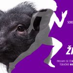 Tek za živali 2026
