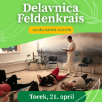 Delavnica Feldenkrais na skalarnih valovih
