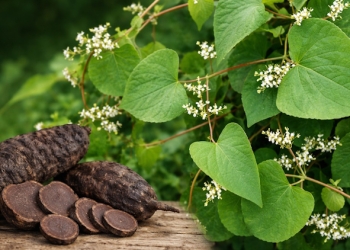 foto Portal Duhovnost