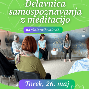 Delavnica samospoznavanja na skalarnih valovih
