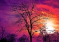 foto pixabay.com