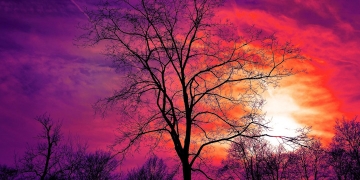 foto pixabay.com