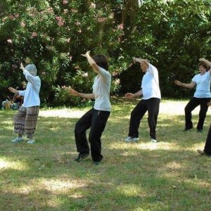 5-dnevna poletna gorska Qigong delavnica
