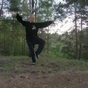 Qigong dopoldan v naravi - ob sredah - Koseški bajer