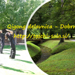 3-dnevna jesenska Qigong delavnica