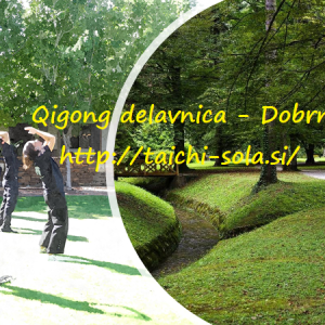 3-dnevna jesenska Qigong delavnica