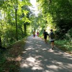 V OBJEMU NARAVE - VIKEND MEDITACIJSKI ODMIK od 19.6. do 21.6. na Slapu ob Idrijci