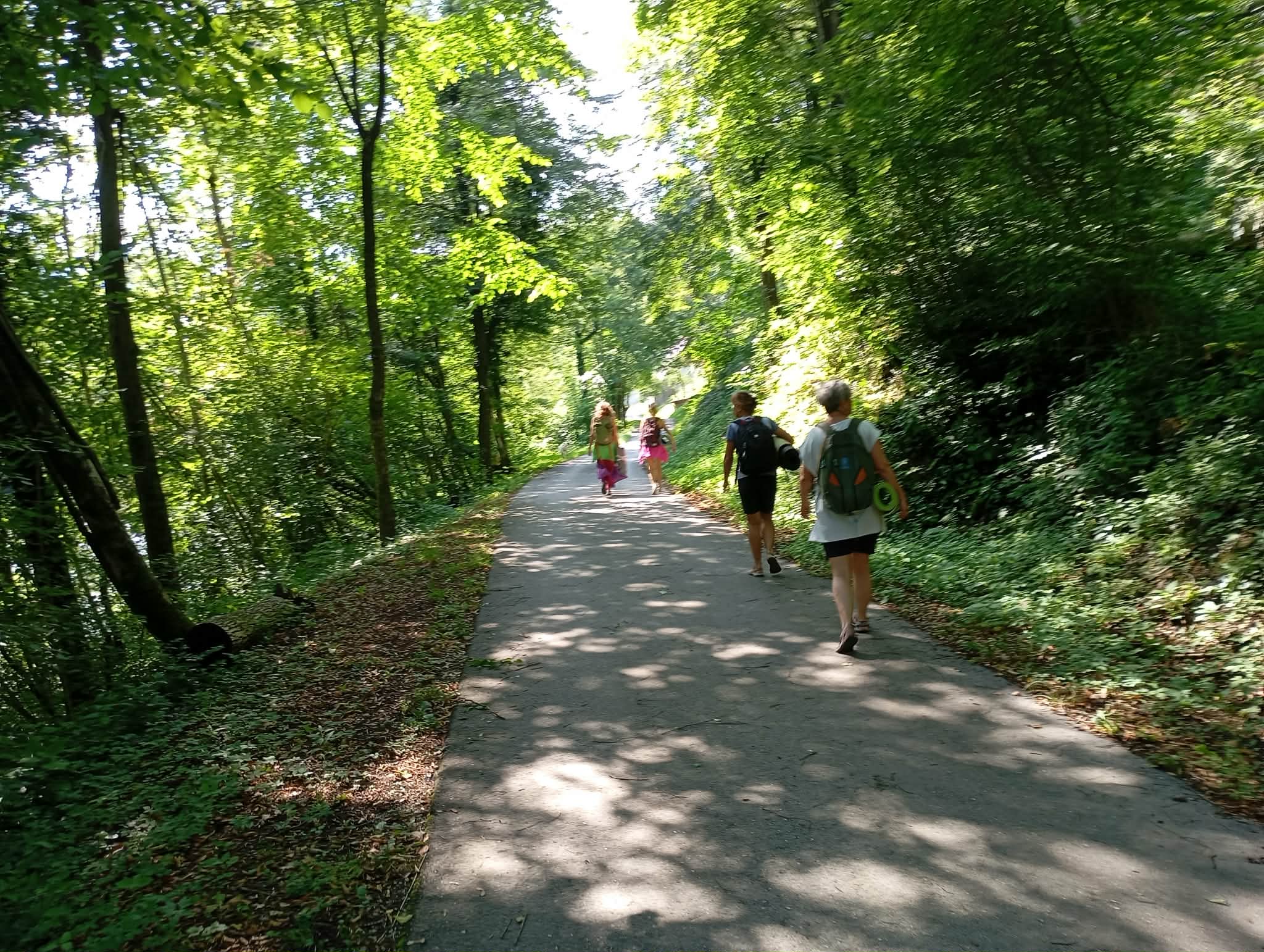 V OBJEMU NARAVE - VIKEND MEDITACIJSKI ODMIK od 19.6. do 21.6. na Slapu ob Idrijci