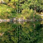 V OBJEMU NARAVE - VIKEND MEDITACIJSKI ODMIK NA SLAPU OB IDRIJCI