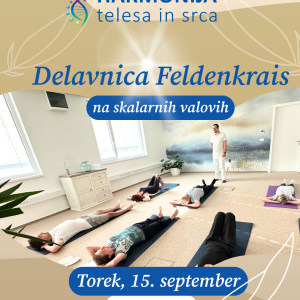 Feldenkrais delavnica na skalarnih valovih
