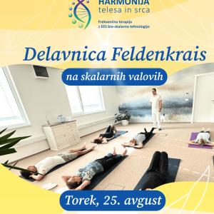 Feldenkrais delavnica na skalarnih valovih