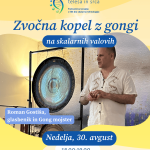 Zvočna kopel z gongi in podpora skalarnega okolja EES 197 Zvočna kopel z gongi in podpora skalarnega okolja EES