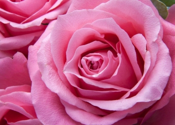 foto pixabay.com