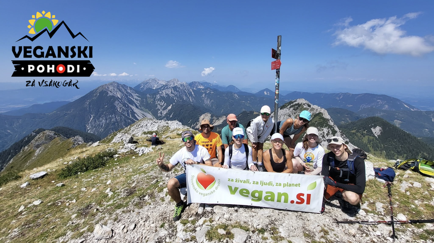 72. Veganski Pohod za Vsakogar - Stenar (2501 m) in Kriški podi (2050 m) 7 72. Veganski Pohod za Vsakogar - Stenar (2501 m) in Kriški podi (2050 m)
