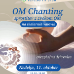 OM CHANTING na skalarnih valovih