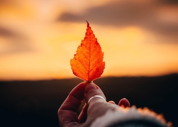 foto pixabay.com