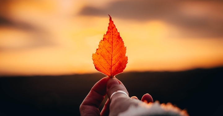 Numerološka napoved od 21. do 27. 9. 2026: Jesensko enakonočje 9 foto pixabay.com