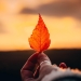 foto pixabay.com